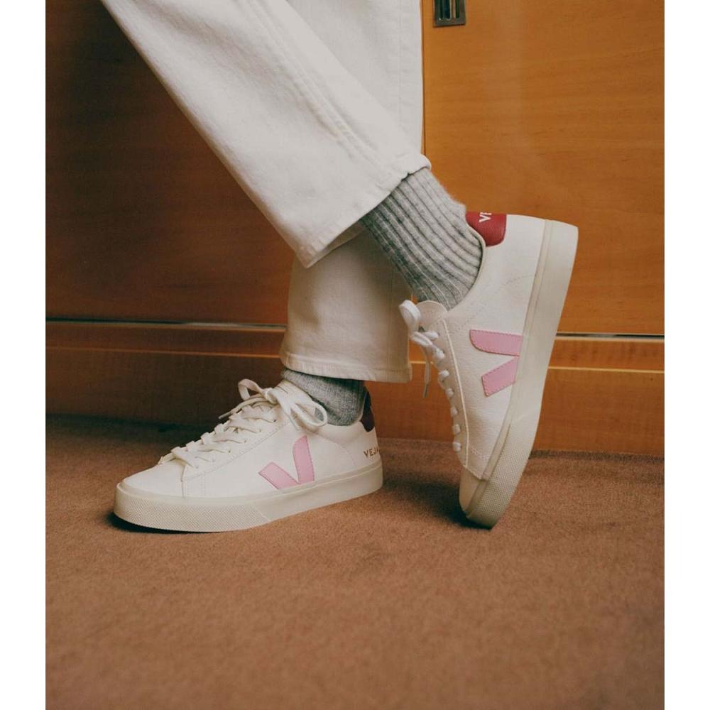 Low Tops Sneakers Barbati Veja CAMPO CHROMEFREE White/Pink | RO 193WNB